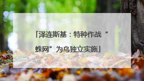 泽连斯基：特种作战“蛛网”为乌独立实施