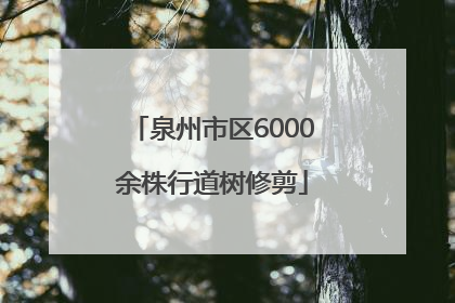 泉州市区6000余株行道树修剪
