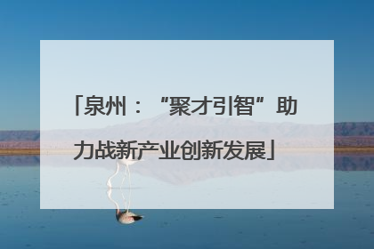 泉州：“聚才引智”助力战新产业创新发展