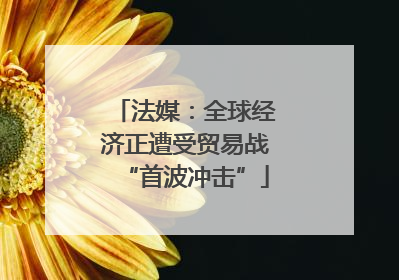 法媒：全球经济正遭受贸易战“首波冲击”