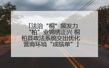 法治“桐”频发力 “柏”业锦绣正兴 桐柏县政法系统交出优化营商环境“成绩单”