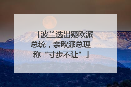 波兰选出疑欧派总统，亲欧派总理称“寸步不让”