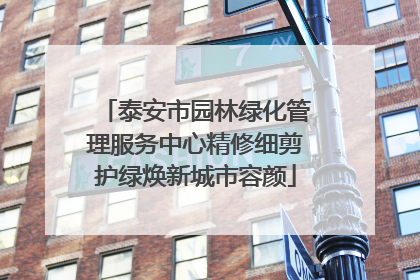泰安市园林绿化管理服务中心精修细剪护绿焕新城市容颜