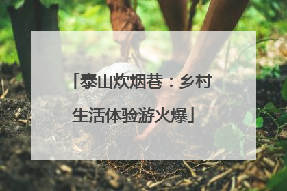 泰山炊烟巷：乡村生活体验游火爆
