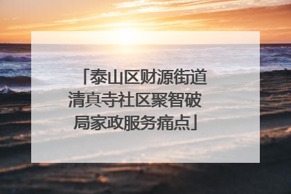 泰山区财源街道清真寺社区聚智破局家政服务痛点