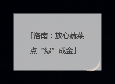 洛南：放心蔬菜点“绿”成金