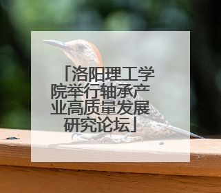 洛阳理工学院举行轴承产业高质量发展研究论坛