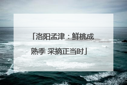 洛阳孟津：鲜桃成熟季 采摘正当时
