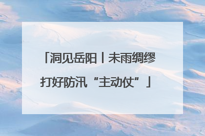 洞见岳阳丨未雨绸缪 打好防汛“主动仗”