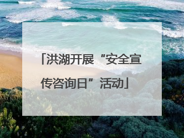 洪湖开展“安全宣传咨询日”活动