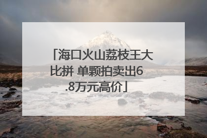 海口火山荔枝王大比拼 单颗拍卖出6.8万元高价