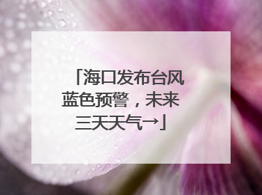 海口发布台风蓝色预警，未来三天天气→