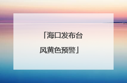 海口发布台风黄色预警