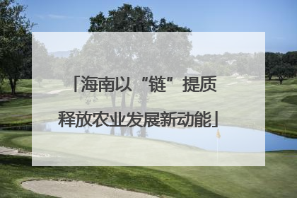 海南以“链”提质 释放农业发展新动能