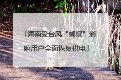 海南受台风“蝴蝶”影响用户全面恢复供电