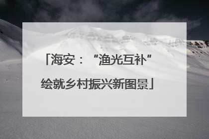 海安：“渔光互补” 绘就乡村振兴新图景