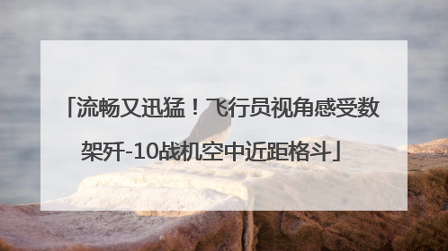 流畅又迅猛！飞行员视角感受数架歼-10战机空中近距格斗