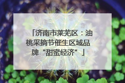 济南市莱芜区：油桃采摘节催生区域品牌“甜蜜经济”