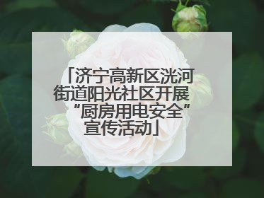 济宁高新区洸河街道阳光社区开展“厨房用电安全”宣传活动
