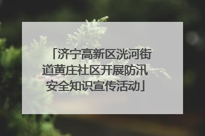 济宁高新区洸河街道黄庄社区开展防汛安全知识宣传活动