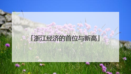 浙江经济的首位与新高