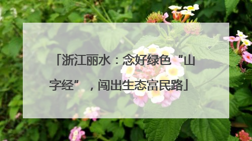 浙江丽水：念好绿色“山字经”，闯出生态富民路