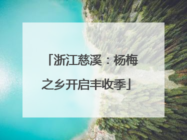 浙江慈溪：杨梅之乡开启丰收季