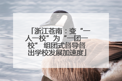 浙江苍南：变“一人一校”为“一团一校” 组团式督导督出学校发展加速度