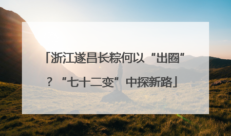 浙江遂昌长粽何以“出圈”？“七十二变”中探新路