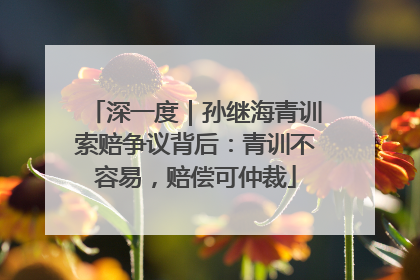 深一度｜孙继海青训索赔争议背后：青训不容易，赔偿可仲裁