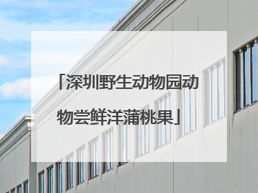 深圳野生动物园动物尝鲜洋蒲桃果