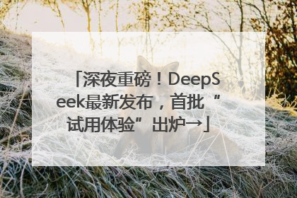 深夜重磅！DeepSeek最新发布，首批“试用体验”出炉→