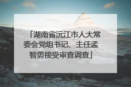 湖南省沅江市人大常委会党组书记、主任孟智勇接受审查调查
