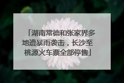 湖南常德和张家界多地遭暴雨袭击，长沙至桃源火车票全部停售