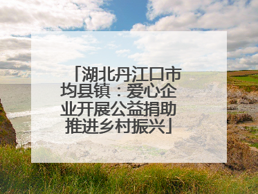 湖北丹江口市均县镇：爱心企业开展公益捐助推进乡村振兴