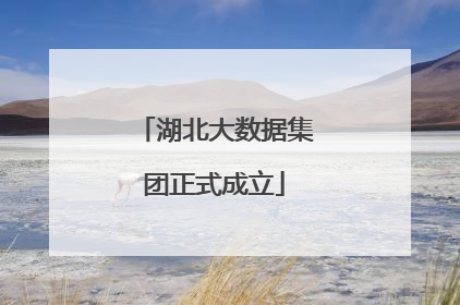 湖北大数据集团正式成立