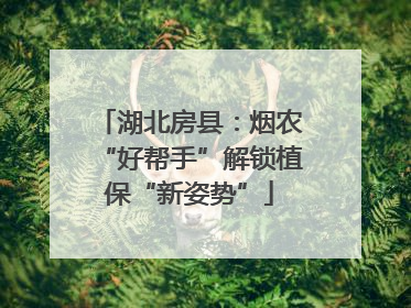 湖北房县：烟农“好帮手”解锁植保“新姿势”