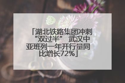湖北铁路集团冲刺“双过半” 武汉中亚班列一年开行量同比增长72%