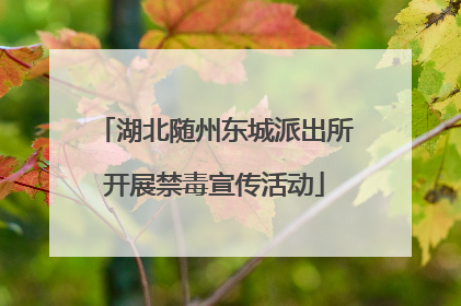 湖北随州东城派出所开展禁毒宣传活动