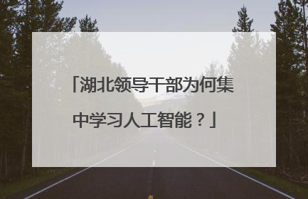 湖北领导干部为何集中学习人工智能？