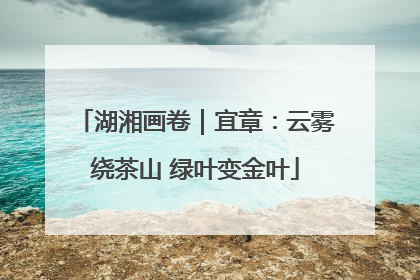 湖湘画卷｜宜章：云雾绕茶山 绿叶变金叶