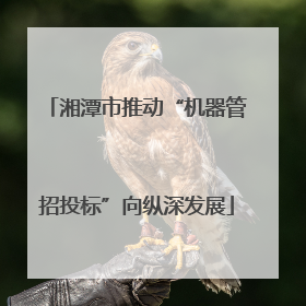 湘潭市推动“机器管招投标”向纵深发展