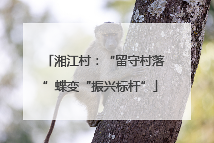 湘江村：“留守村落”蝶变“振兴标杆”