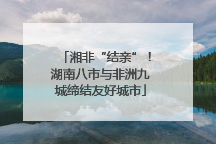 湘非“结亲”！湖南八市与非洲九城缔结友好城市