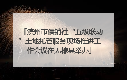 滨州市供销社“五级联动”土地托管服务现场推进工作会议在无棣县举办