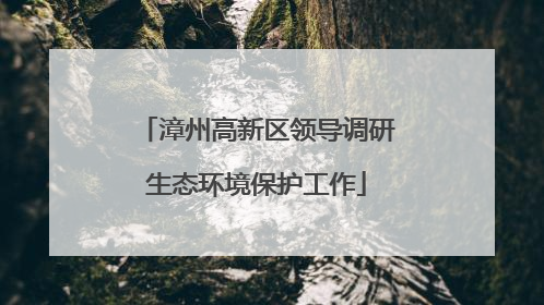 漳州高新区领导调研生态环境保护工作