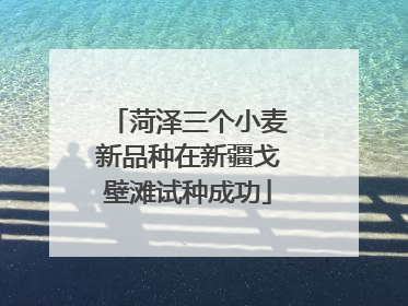 菏泽三个小麦新品种在新疆戈壁滩试种成功