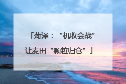 菏泽：“机收会战”让麦田“颗粒归仓”