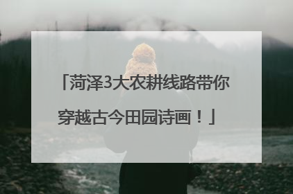 菏泽3大农耕线路带你穿越古今田园诗画！