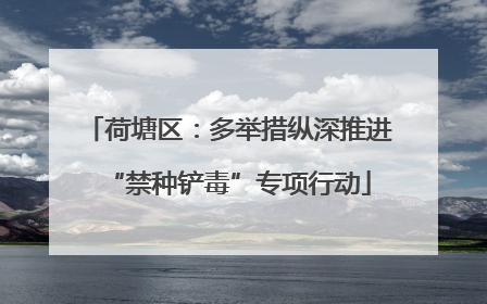 荷塘区：多举措纵深推进“禁种铲毒”专项行动